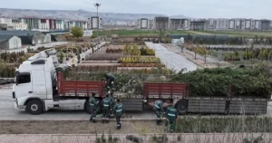 Kayseri Kocasinan Belediyesi, ağaç dikim mevsimi gelmesiyle birlikte fidan ve