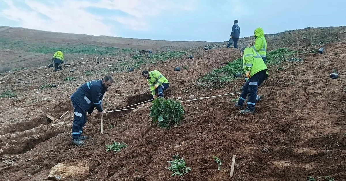 Kocaeli Gebze’de Büyükşehir’le yeşile dokunuş