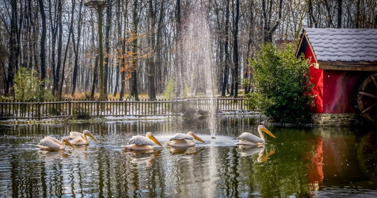 Kocaeli’de Ormanya ve Kuzuyayla ziyaretçilere hazır