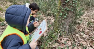 Kocaeli Büyükşehir Belediyesi bünyesinde hizmet veren Lokomotif Çocuk Köyü, Orman