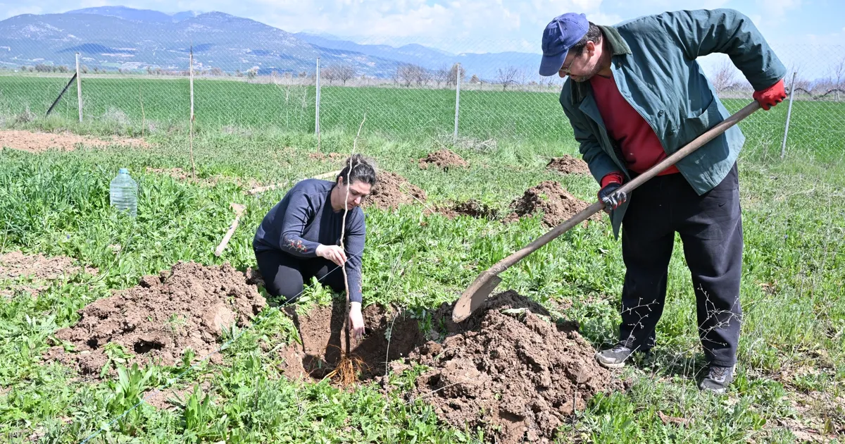 Antalya Korkuteli ilk kez ipekböcekçiliği ile tanışıyor