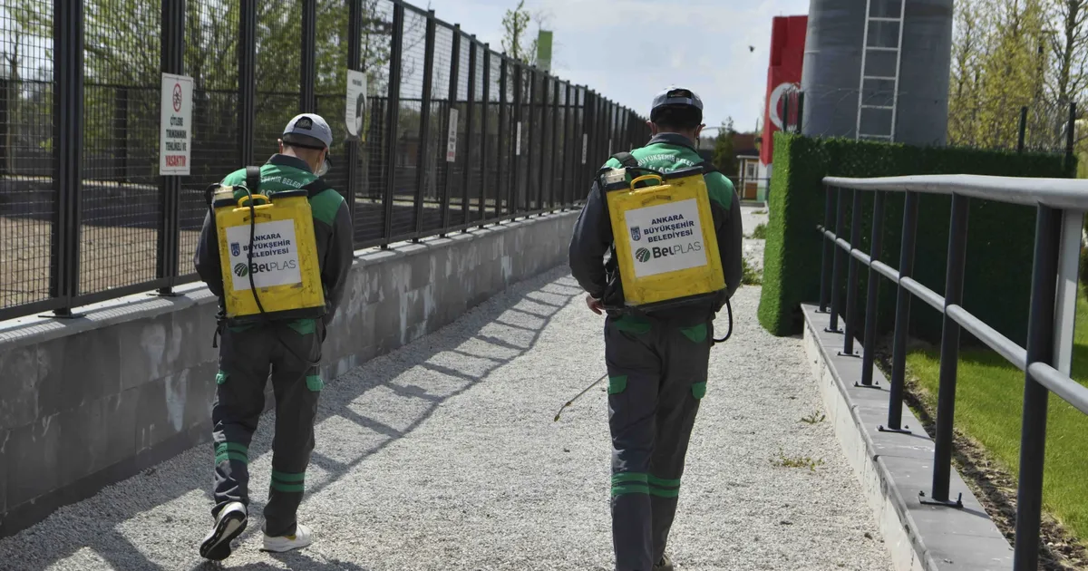 Başkent’te haşereyle etkin mücadele