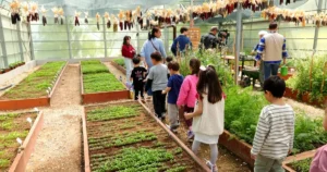 Bursa'da Osmangazi Belediyesi, çocukların toprakla tanışması ve tükettikleri gıdaların üretim