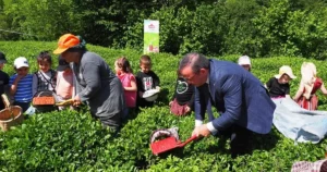 Cumhurbaşkanı Kararı ile Kamu İktisadi Teşebbüsleri (KİT) ve bağlı ortaklıklarının