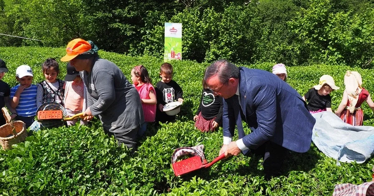 Çay İşletmeleri’ne personel atamalarında 40 yaş şartı aranmayacak
