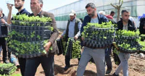 Şanlıurfa Büyükşehir Belediyesi, tarımsal üretimi desteklemek ve çiftçilerin maliyet yükünü