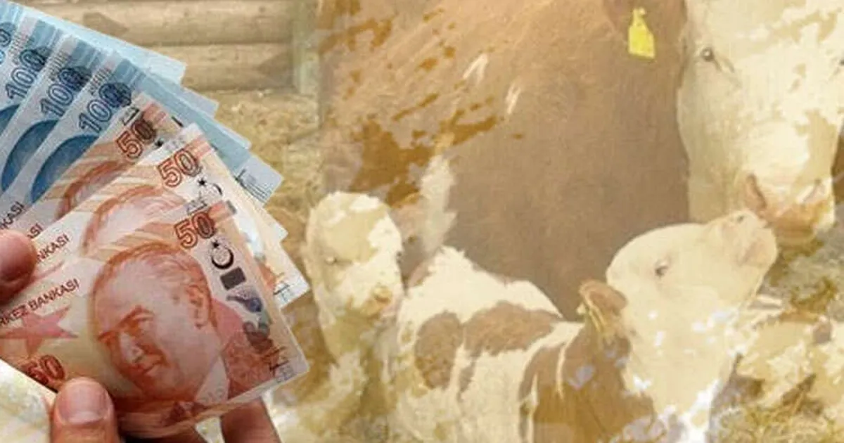 Çiftçiye 350,9 milyon TL destek ödemesi hesaplarda