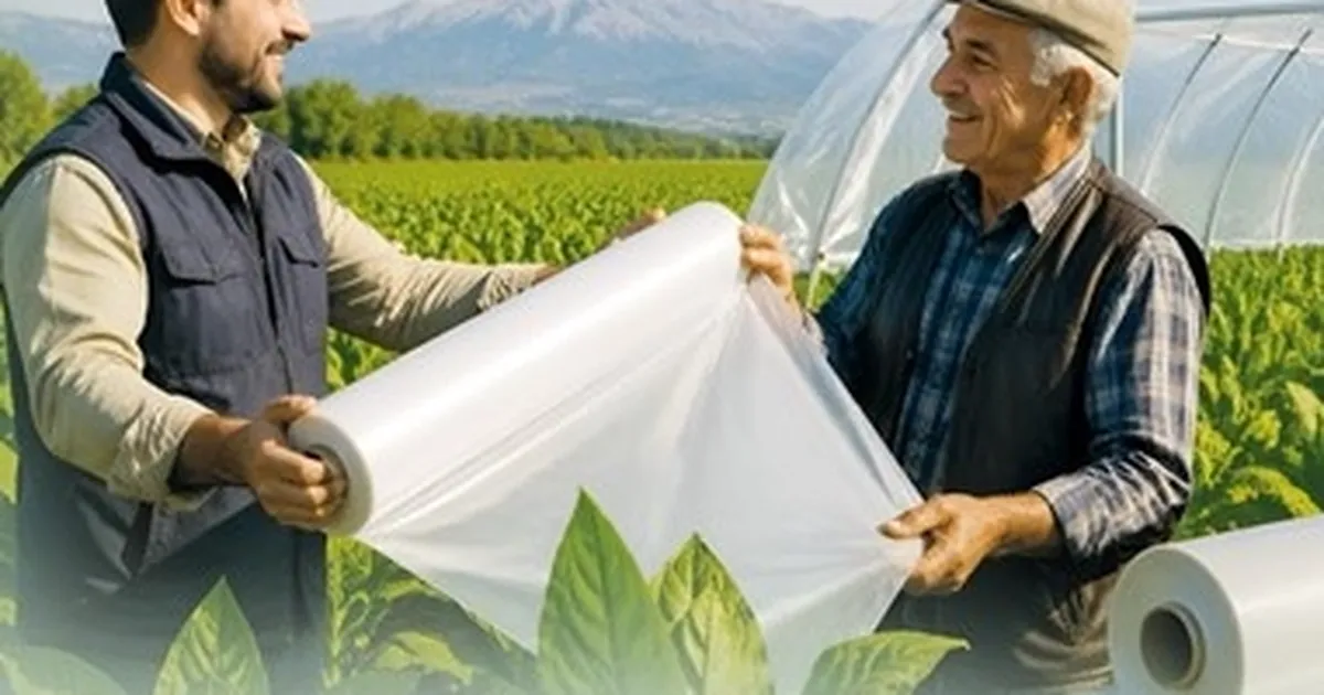 Denizli Büyükşehir’den tütün üreticisine destek