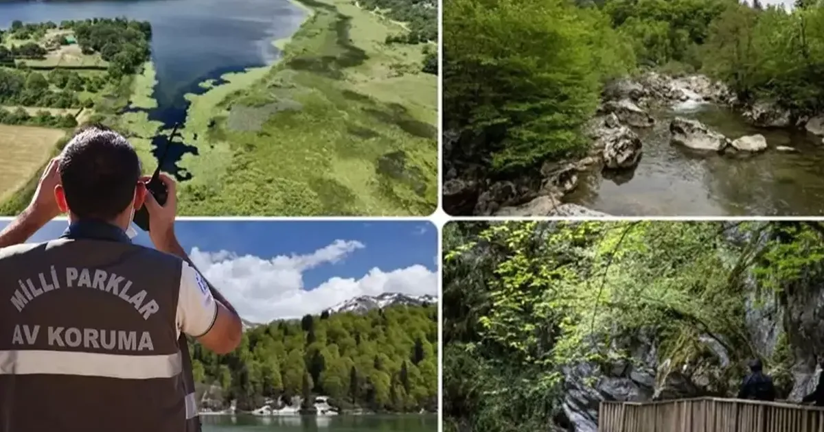 Doğa Koruma ve Milli Parklar Uzmanlığı için ‘tez’ zorunluluğu