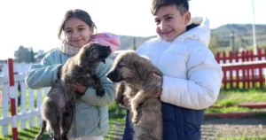 İzmir Büyükşehir Belediyesi’nin “Patili Dostumuz” projesiyle engelli çocuklar ve aileleri,