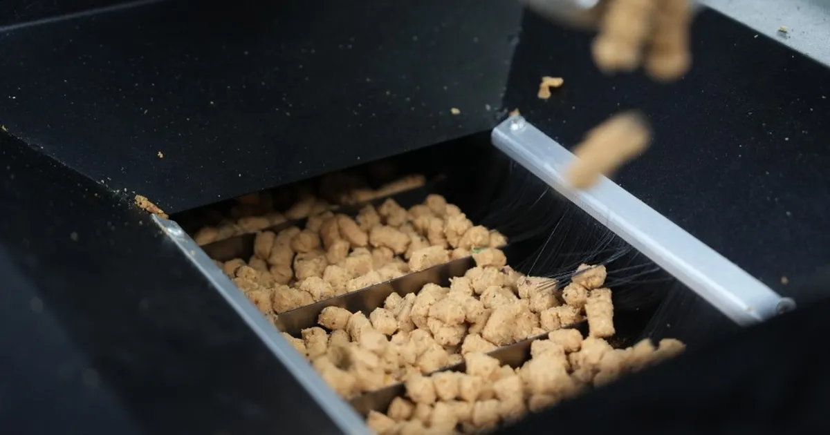 Eskişehir’de atık yemekler mama oluyor