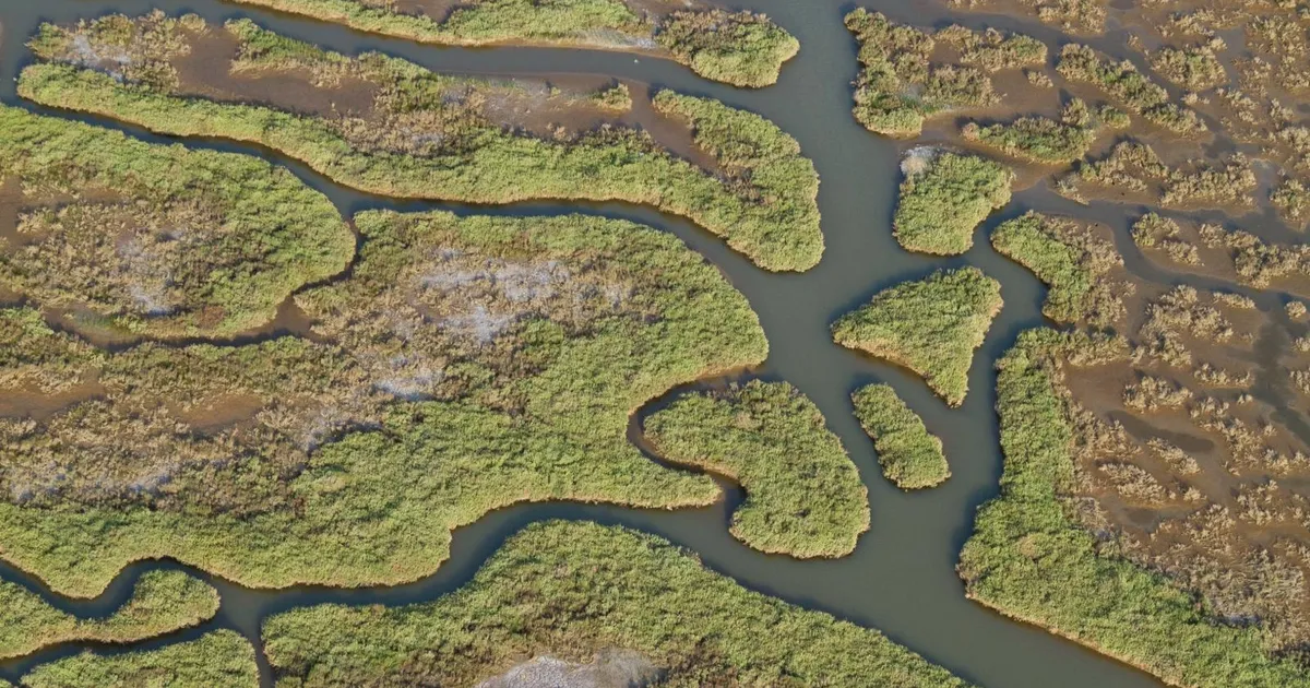 Gediz Havzası’nda kirlilik artıyor!
