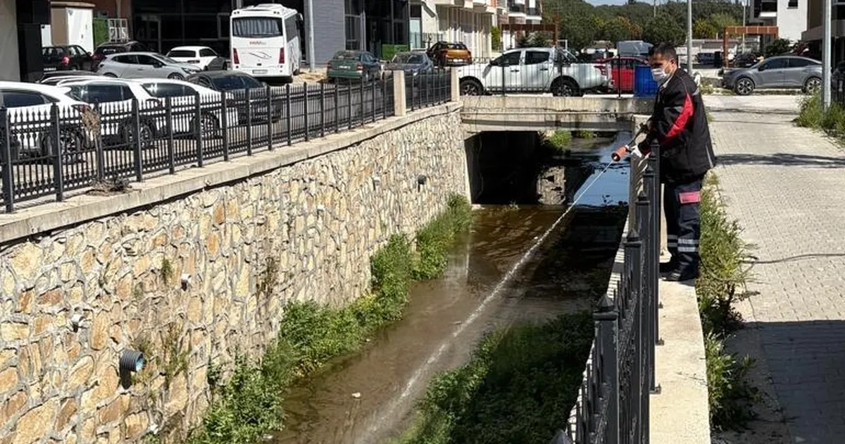 Haşereye karşı larvasit çözüm