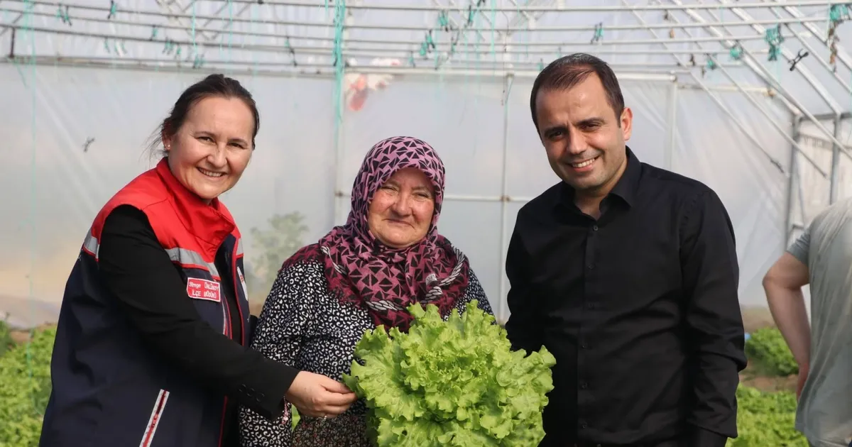 İpsala Esetçe’de ‘Meryem Teyze’ örneği… Yüzde 75 hibeli serada verimlilik artıyor