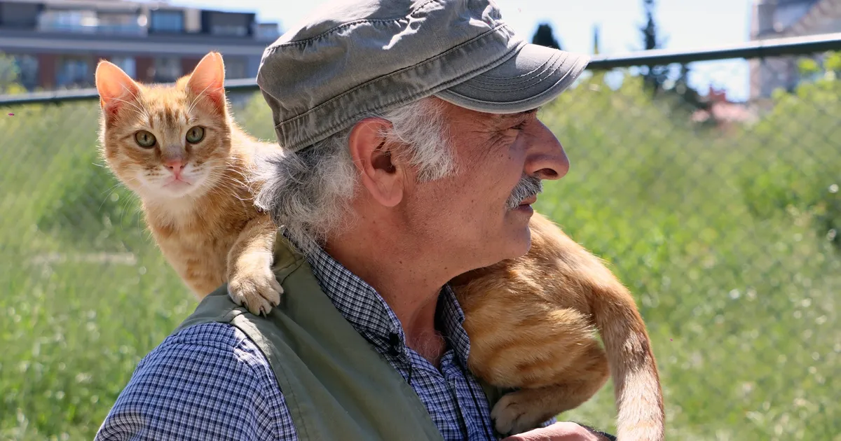 İstanbul Maltepe’de “can dostlar” güvende