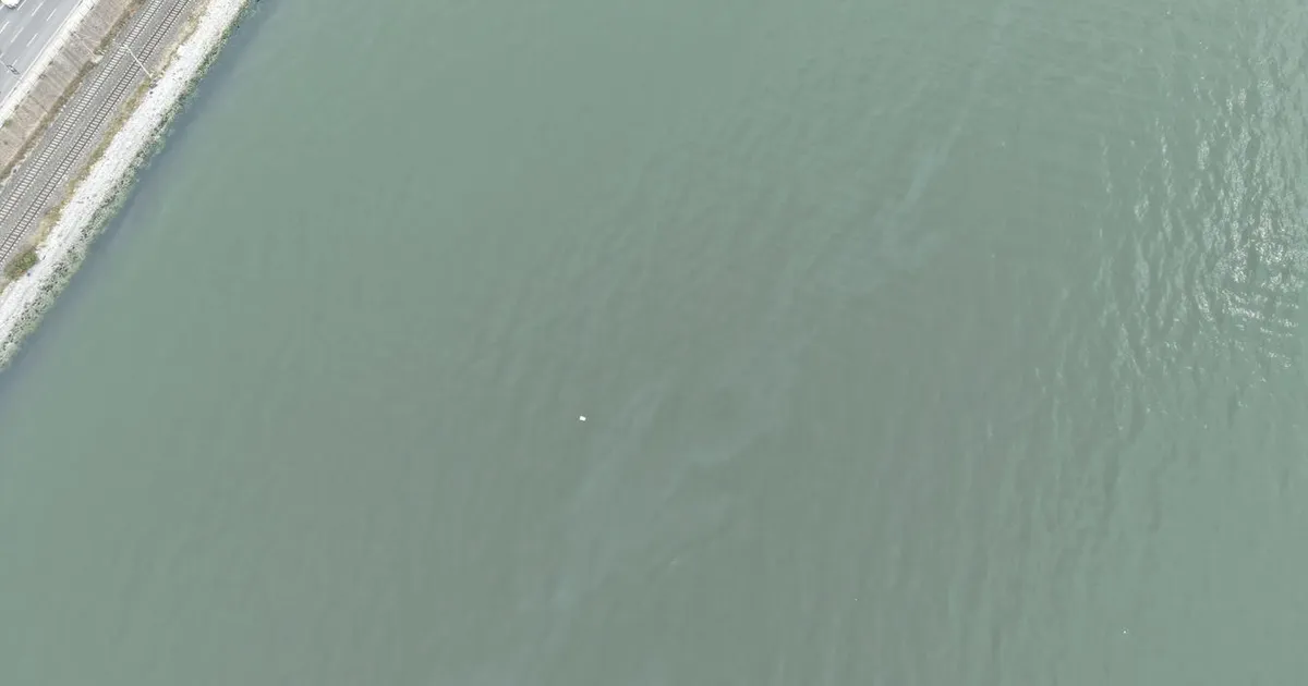 İzmir Körfezi’nde kirlilik endişelendiriyor! Aynı tehdit 11. kez görüldü