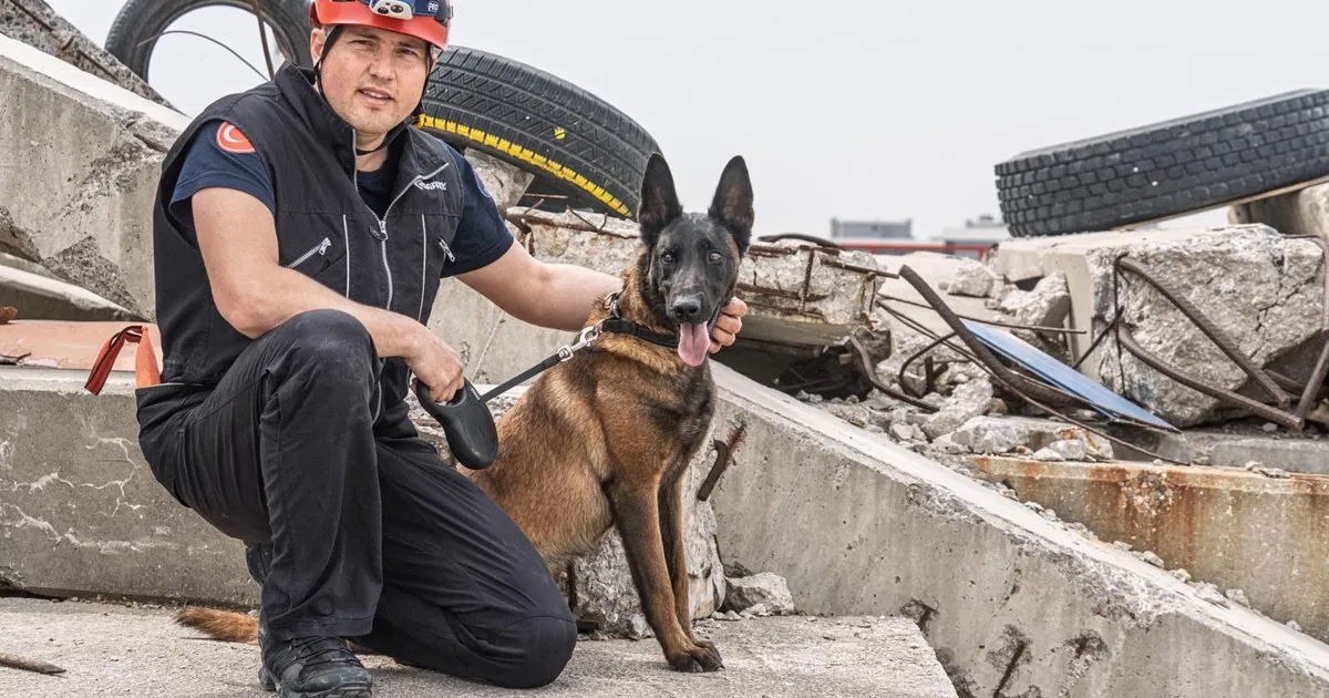 İzmir’de Momo enkaz için eğitiliyor