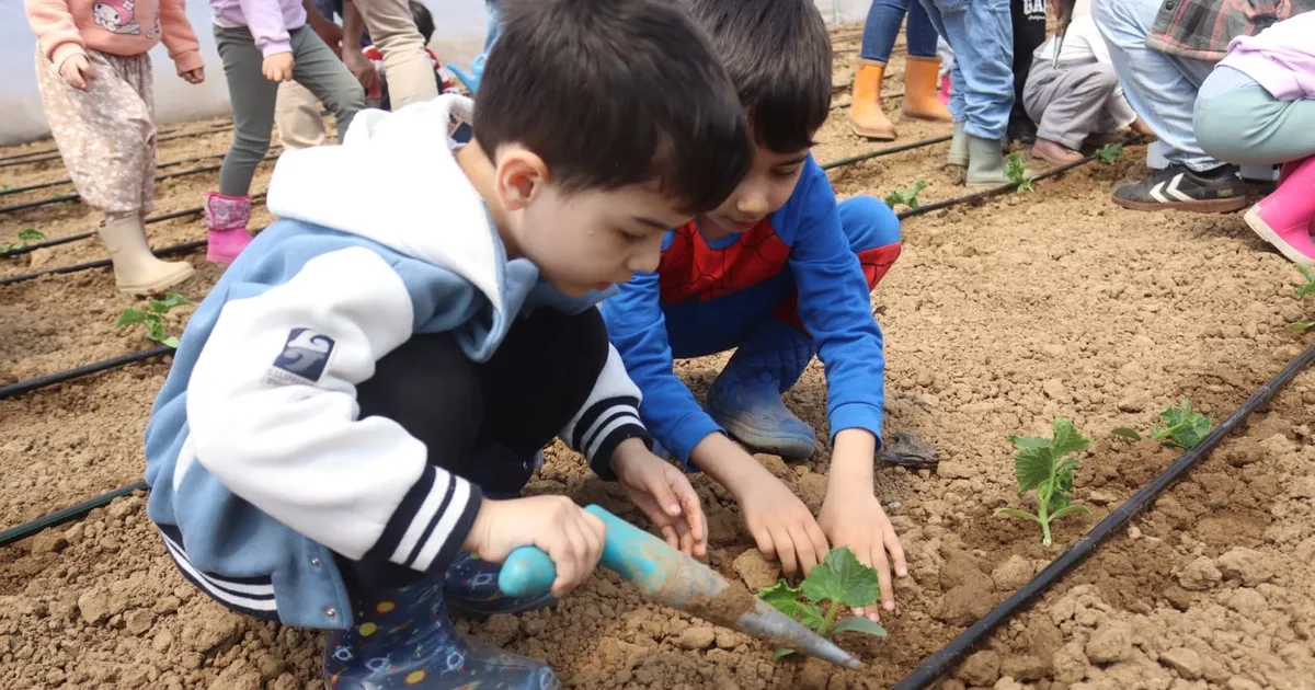 İzmitli çocuklar ilk fidelerini çocuk serasında ekti