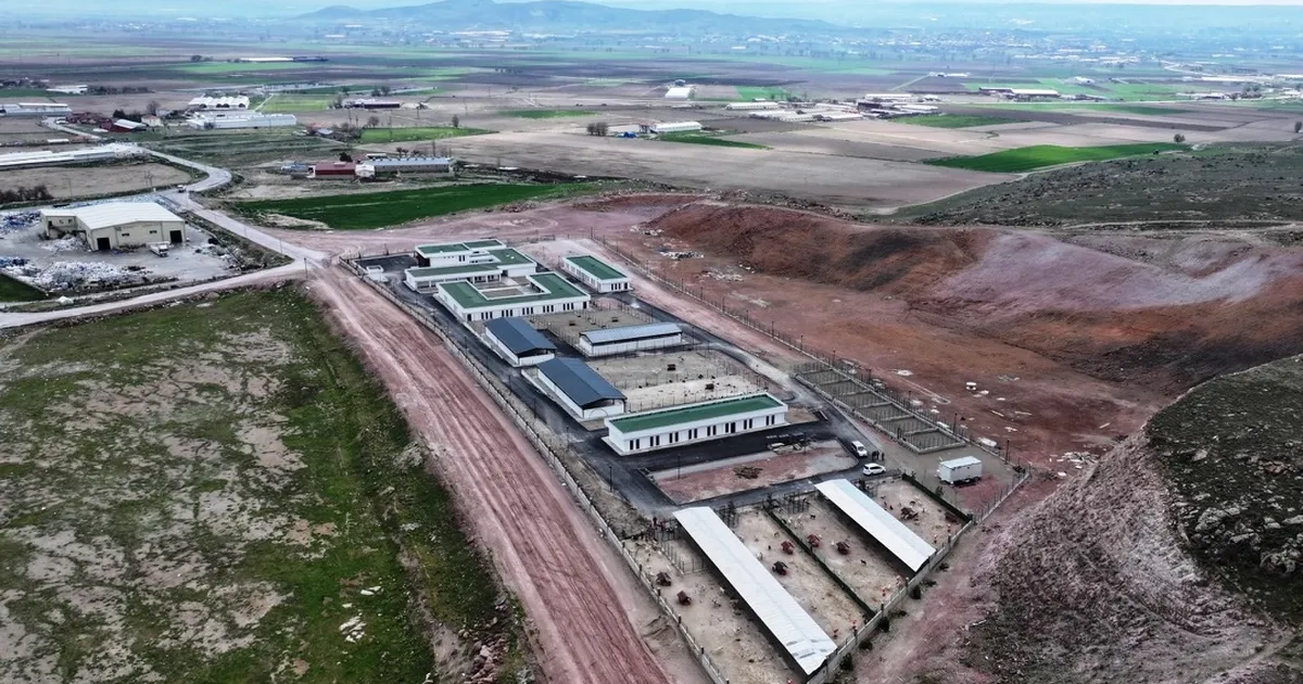 Kayseri Kocasinan’dan sokak hayvanlarına özel mekan