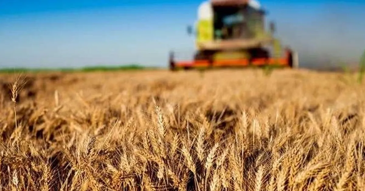 Kırsal kalkınma yatırımlarında 10 milyar TL’lik destek başladı