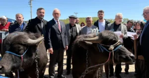 Kocaeli Büyükşehir Belediyesi’nin tarım ve hayvancılığa yönelik projeleri her geçen