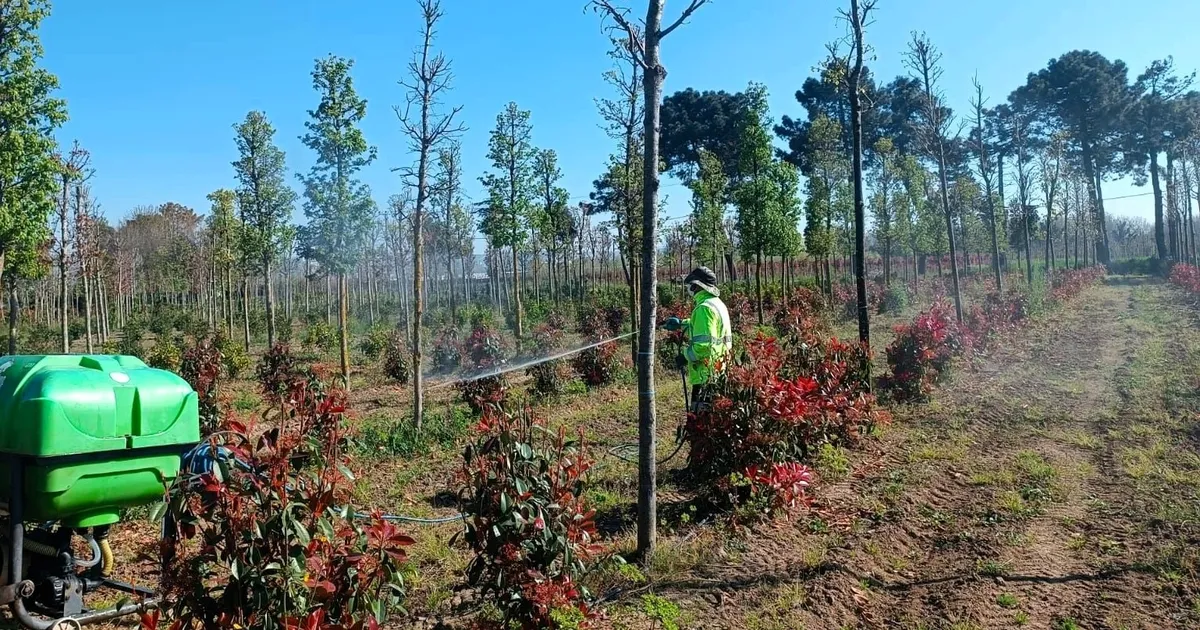 Kocaeli’de fidanlara koruyucu müdahale