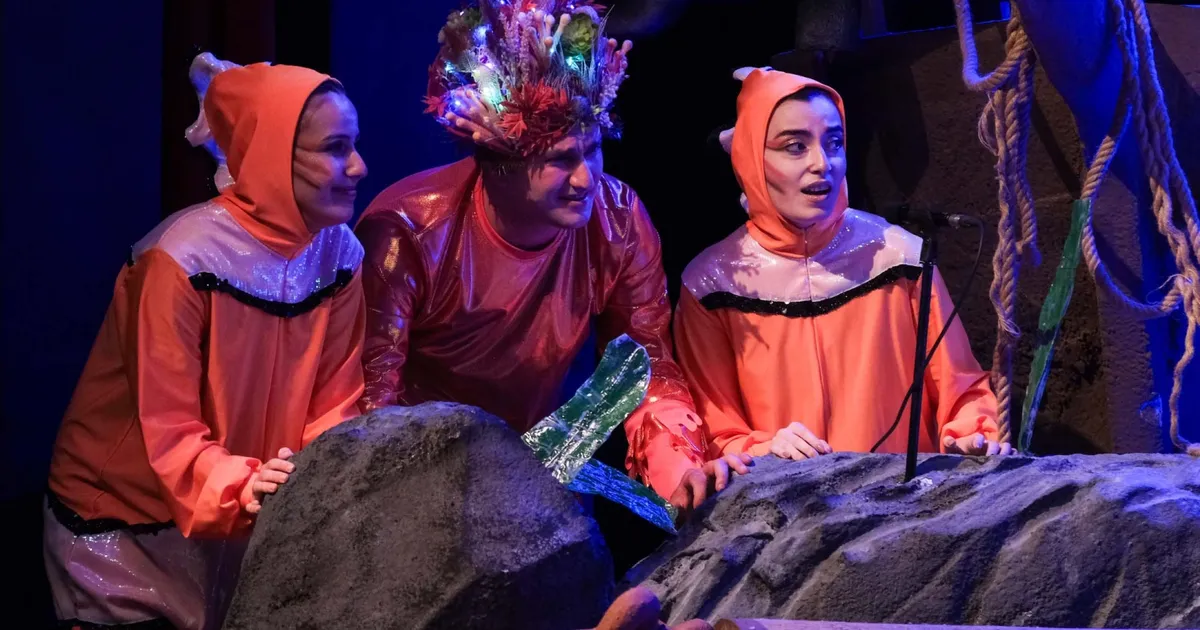 Kocaeli’de minik kalpler, Körfez’in dipten dirilişine tanık oldu