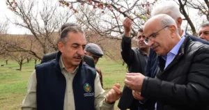 Malatya Büyükşehir Belediye Başkanı Sami Er, dolu yağışından etkilenen ilçelerde