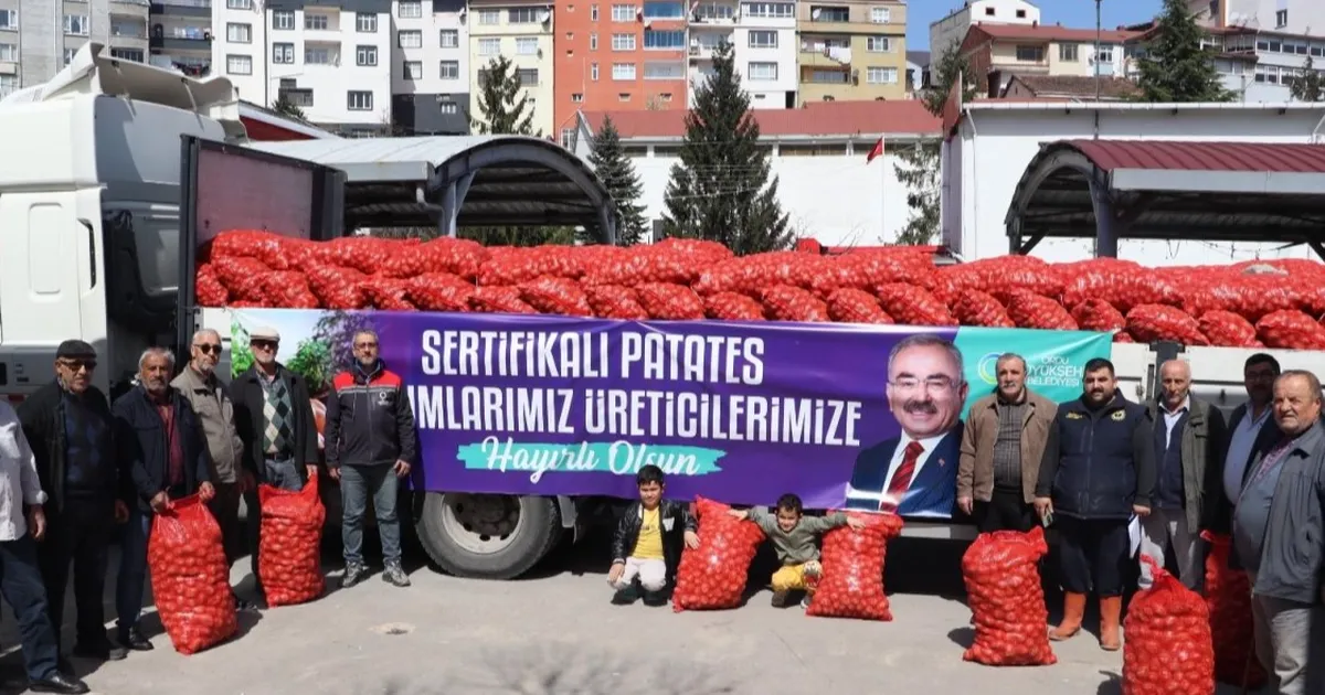 Ordu’da 6 ilçede 45 ton tohumluk patates dağıttı