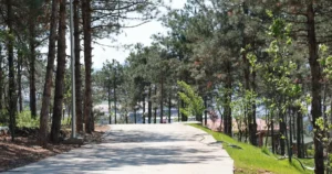 Gebze Belediye Başkanı Zinnur Büyükgöz, yapımı tamamlanmak üzere olan 126