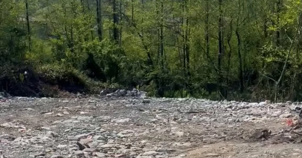 Rize’de vahşi depolamaya milyonluk ceza! Çevre’den suç duyurusu