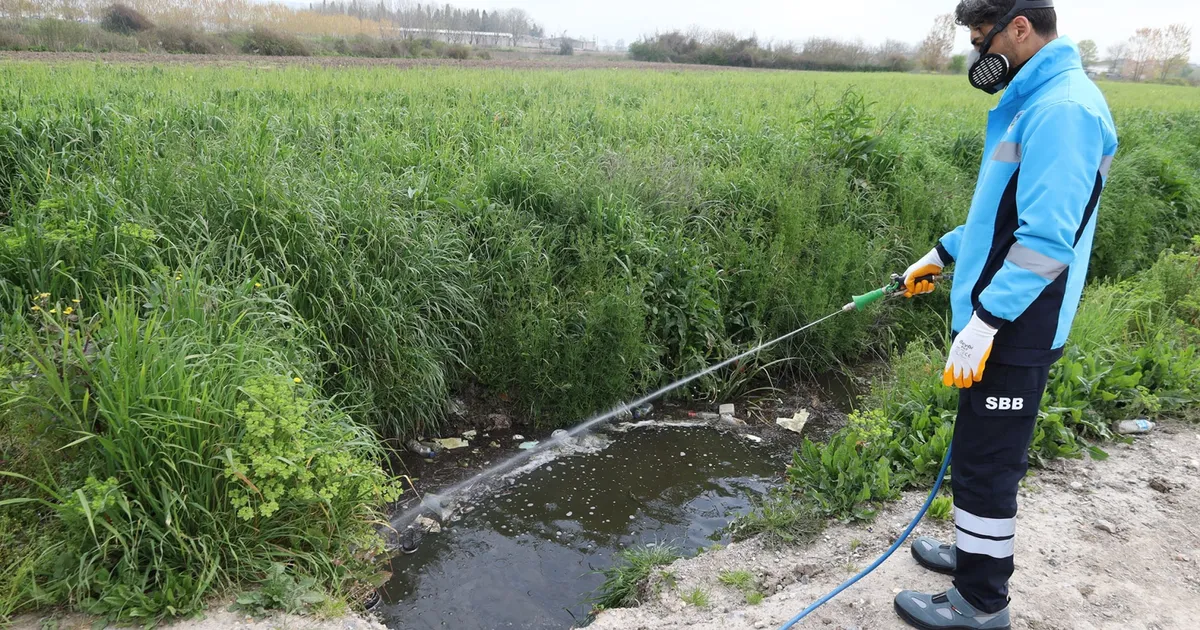 Sakarya ekipler zararlı vektörle mücadeleyi sürdürüyor