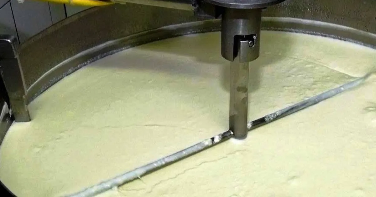 Süt ürünlerinde üretim artışı sürdü… Yoğurt üretimi liste başında