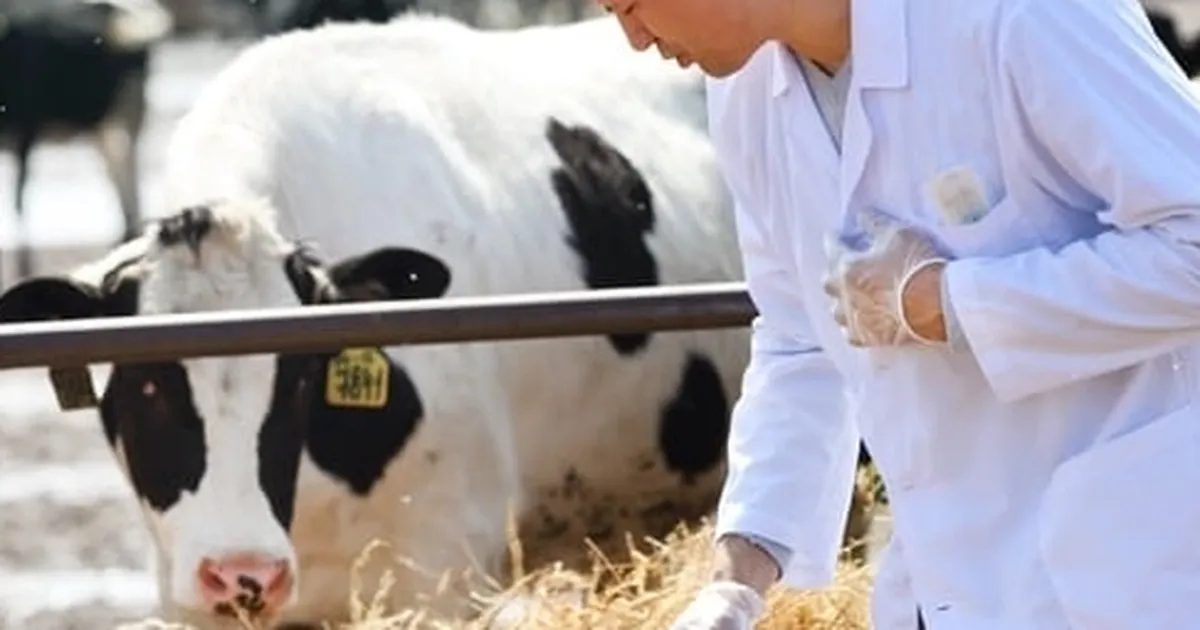 Tarımda maliyet baskısı sürüyor… Girdi fiyatları veteriner harcamaları yine zirvede