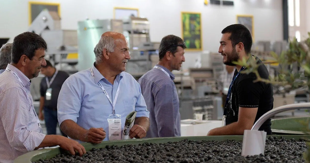 Zeytinin zirvesi İzmir’de kuruluyor