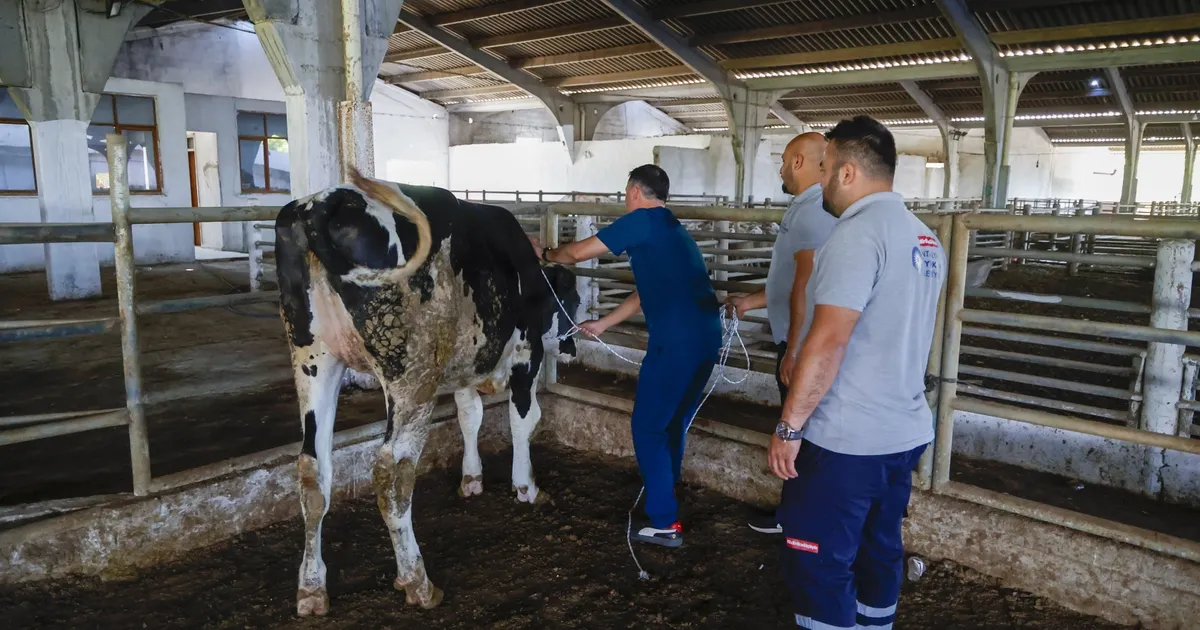 Antalya’da kurban yakalama timi göreve hazır