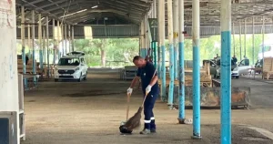 Çiğli Belediyesi, Kurban Bayramı boyunca ilçe genelinde yürüttüğü kapsamlı temizlik