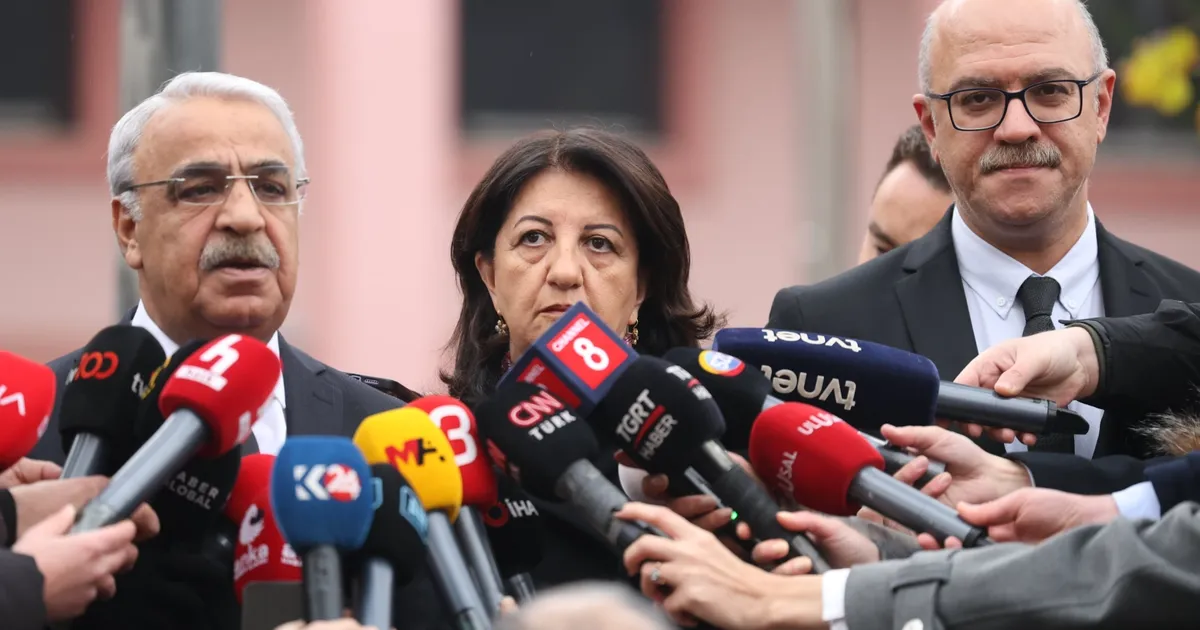 DEM Parti İmralı Heyeti: Demokratikleşme hayati ihtiyaç