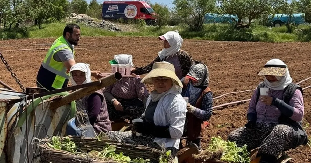Denizli Büyükşehir Belediyesi mobil ikram araçları, bu kez tarlalarda çalışan