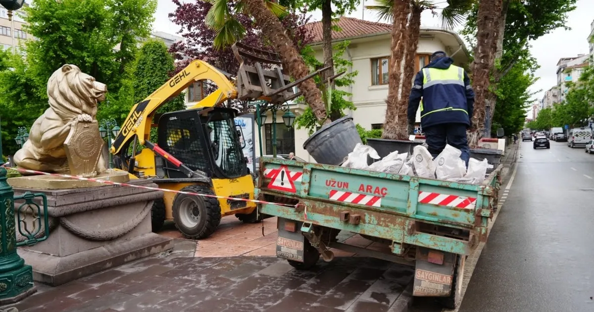 Eskişehir’de Köprübaşı palmiyeleri sahaya çıktı