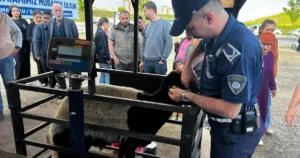 Gaziantep Büyükşehir Belediye Başkanı Fatma Şahin, Kurban Bayramı öncesi teknik