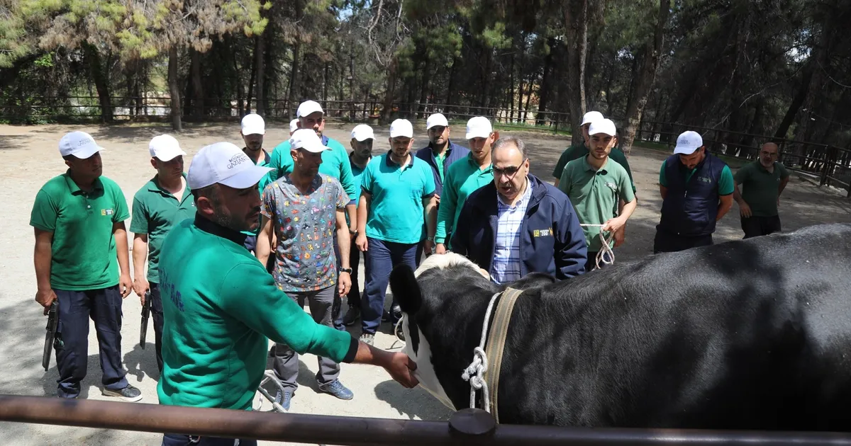 Gaziantep Büyükşehir Belediyesi tarafından oluşturulan “Kurban Yakalama Timi”, yaklaşan Kurban