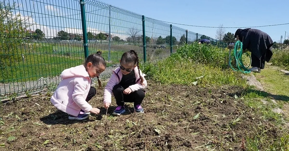 İstanbul Beylikdüzü’nde hobi bahçelerinde sezonun ilk mahsulleri
