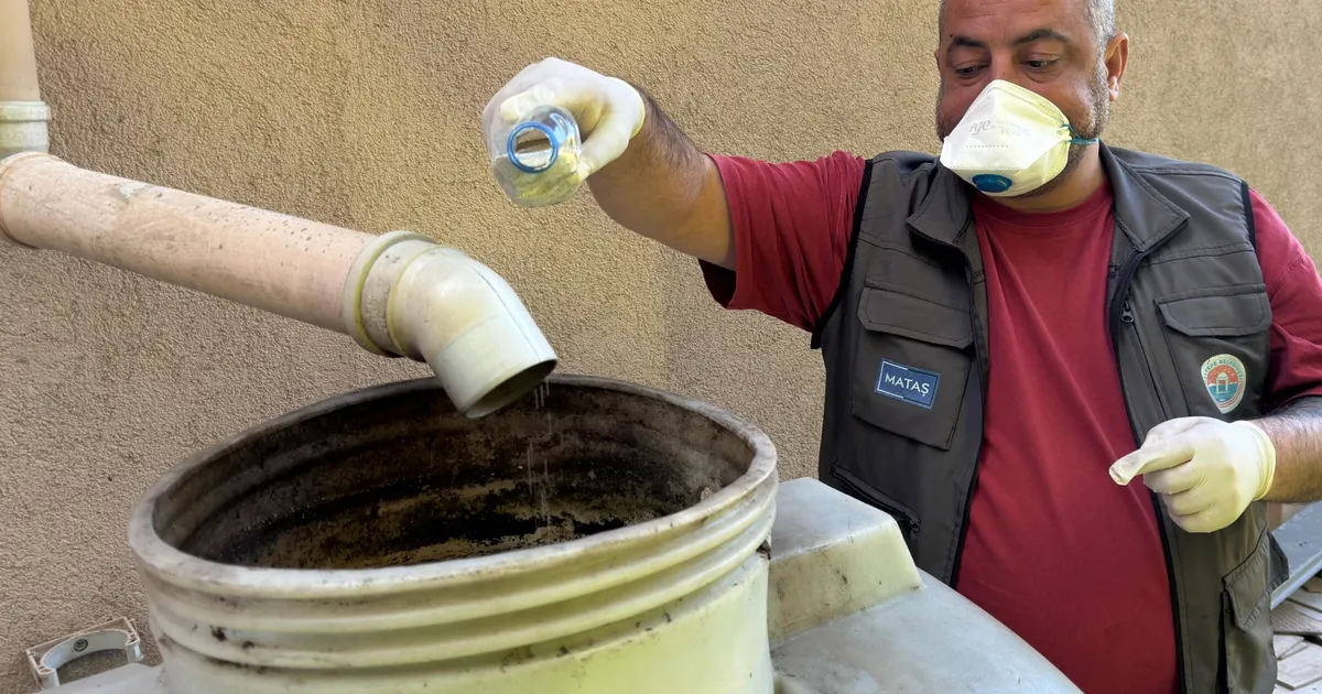 İstanbul Maltepe’de sivrisinek mücadelesi erken başladı