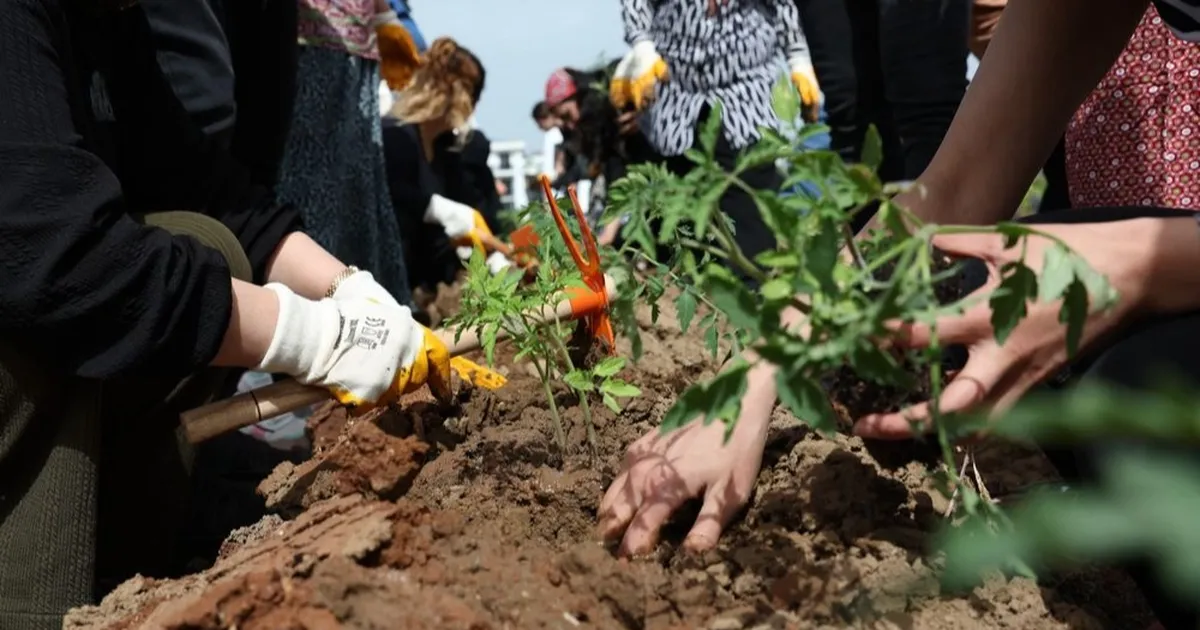 Kadın Kent Bostanı’nda fideler toprakla buluştu