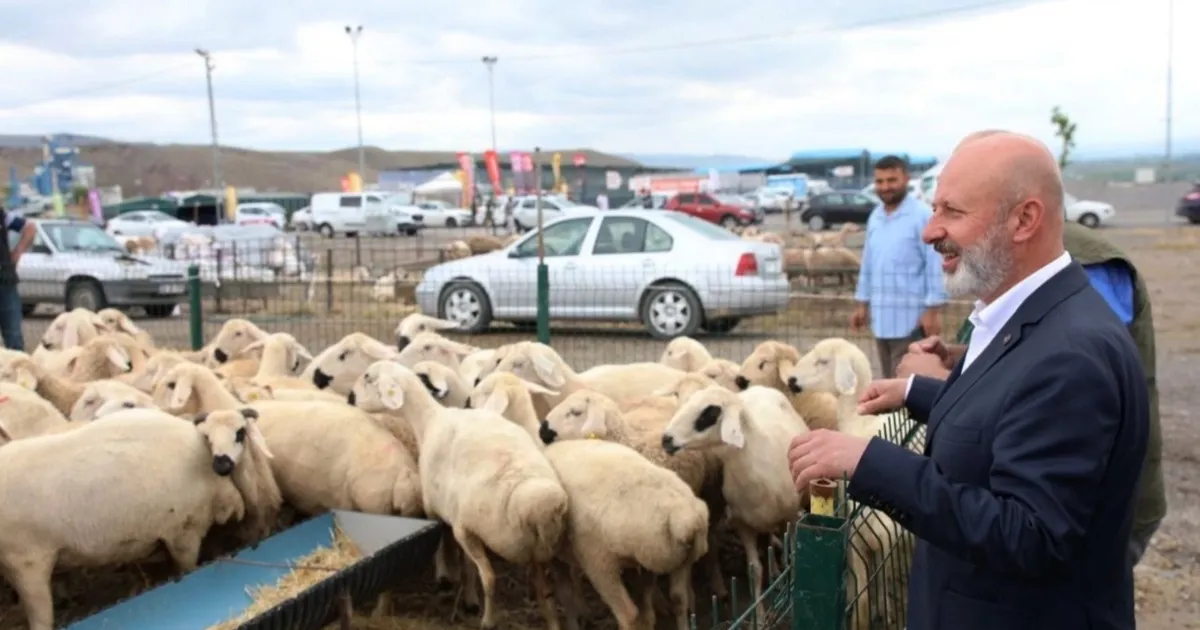 Kayseri Kocasinan’dan profesyonel kurban hazırlığı