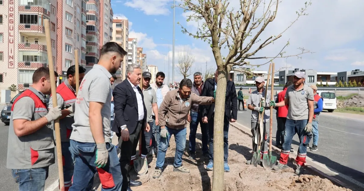 Kayseri Melikgazi’den yemyeşil atılım