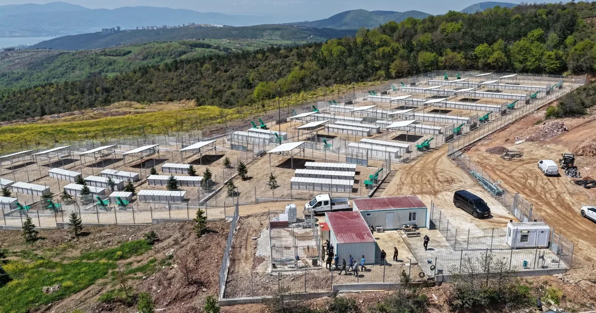 Kocaeli’nde sahipsiz köpeklere yeni yuva