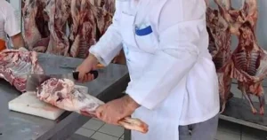 İstanbul'da Üsküdar Üniversitesi uzmanları, Kurban Bayramı öncesinde hem kesim güvenliği