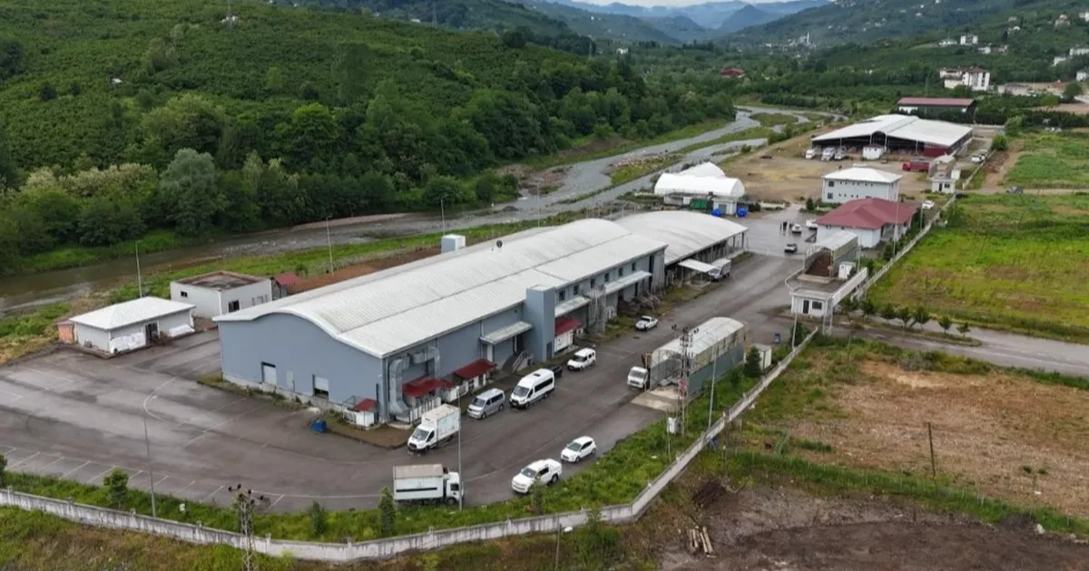 Ordu Büyükşehir kurban hazırlıklarını tamamladı